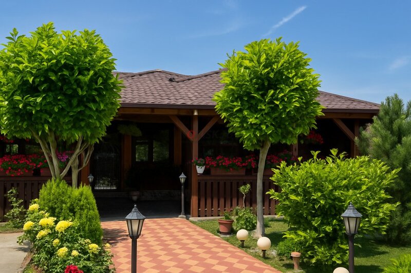 American Dream Home | Parter | Relaxare & confort